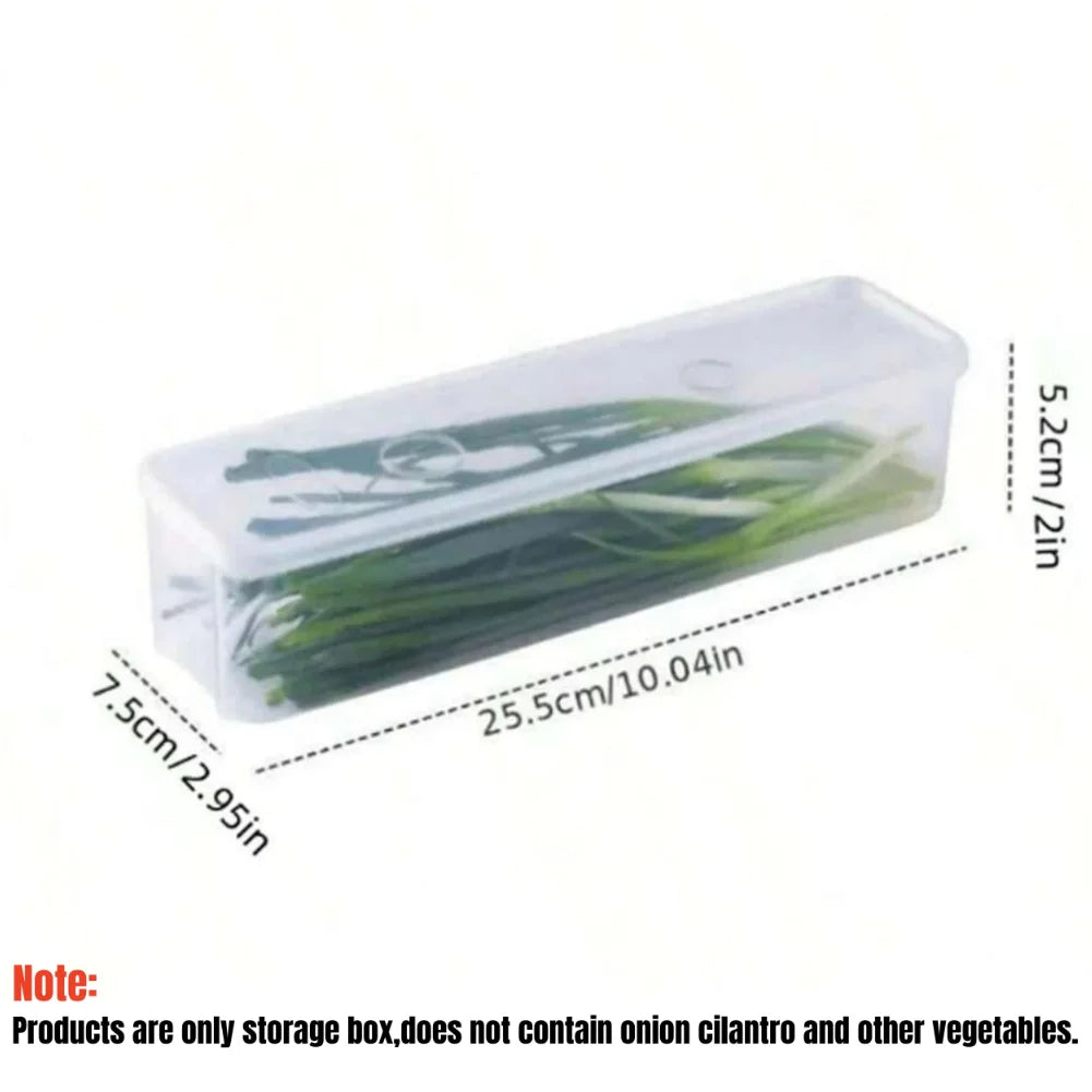 Boîtes de conservation pour réfrigérateur (1/2/4 pièces) avec couvercle, en plastique, pour conserver les aliments frais : oignons verts, coriandre, œufs, nouilles, etc.