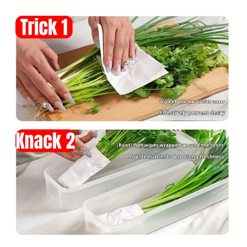 Boîtes de conservation pour réfrigérateur (1/2/4 pièces) avec couvercle, en plastique, pour conserver les aliments frais : oignons verts, coriandre, œufs, nouilles, etc.