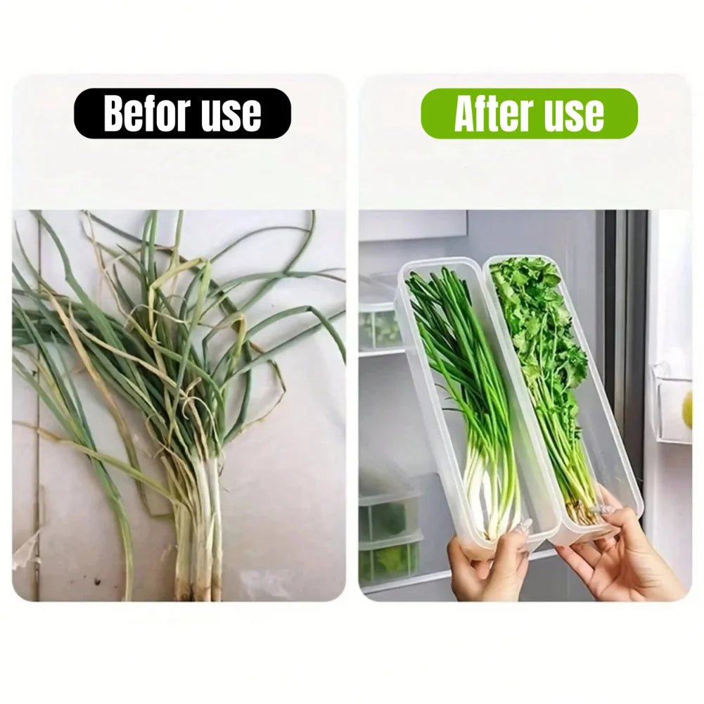 Boîtes de conservation pour réfrigérateur (1/2/4 pièces) avec couvercle, en plastique, pour conserver les aliments frais : oignons verts, coriandre, œufs, nouilles, etc.