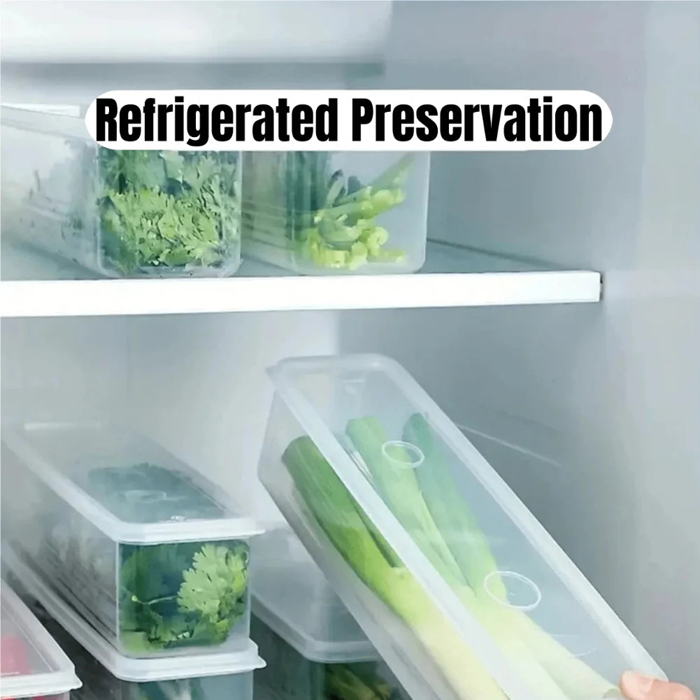 Boîtes de conservation pour réfrigérateur (1/2/4 pièces) avec couvercle, en plastique, pour conserver les aliments frais : oignons verts, coriandre, œufs, nouilles, etc.