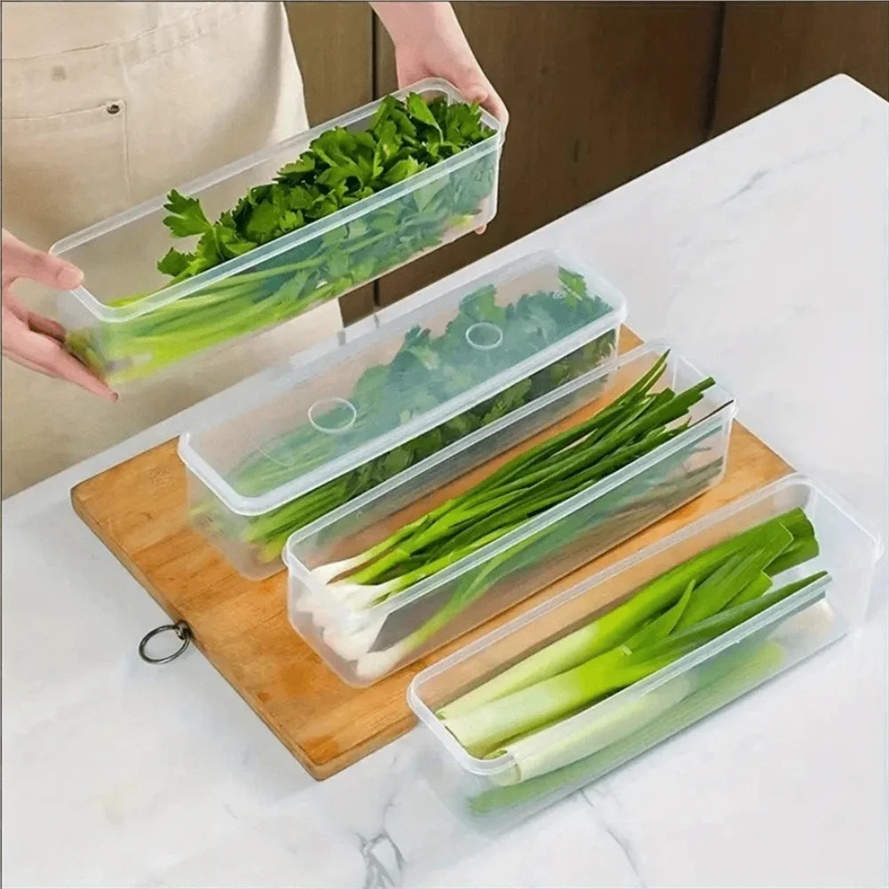 Boîtes de conservation pour réfrigérateur (1/2/4 pièces) avec couvercle, en plastique, pour conserver les aliments frais : oignons verts, coriandre, œufs, nouilles, etc.