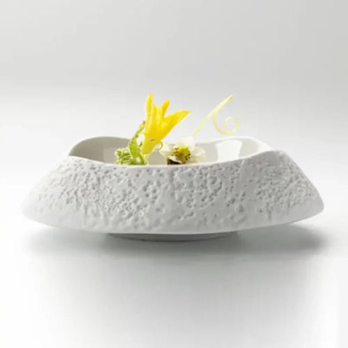 Assiette en céramique créative pour restaurant - Assiette à forme spéciale style français pour desserts et cuisine occidentale - Cuisine Chez Nadine